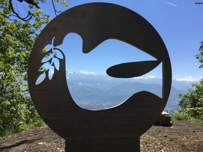 découpe laser colombe