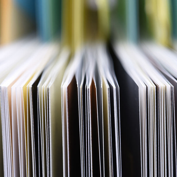 Création documentaire